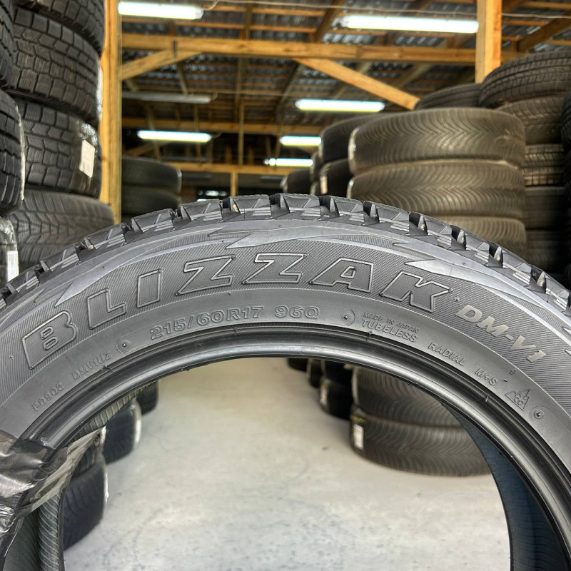 215/60 R17 BRIDGESTONE BLIZZAK DM-V1 8mm
